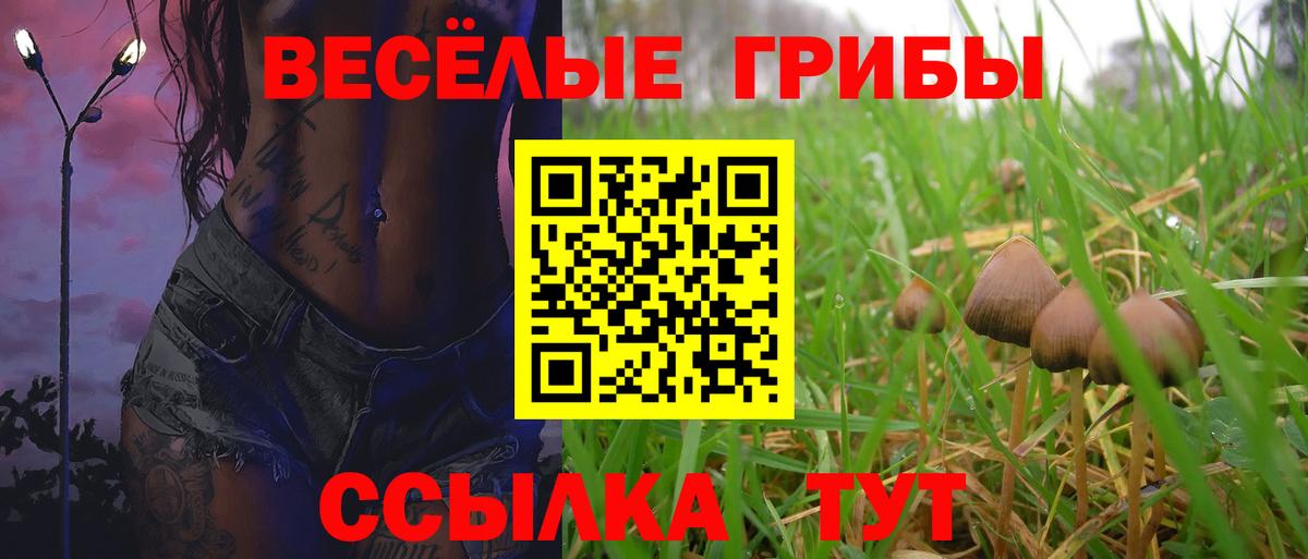Галлюциногенные грибы GOLDEN TEACHER  цены наркотик  Советская Гавань  Вход с VPN 