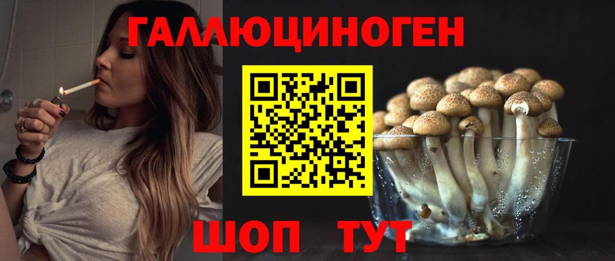 Галлюциногенные грибы прущие грибы Советская Гавань